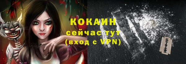 стаф Покачи