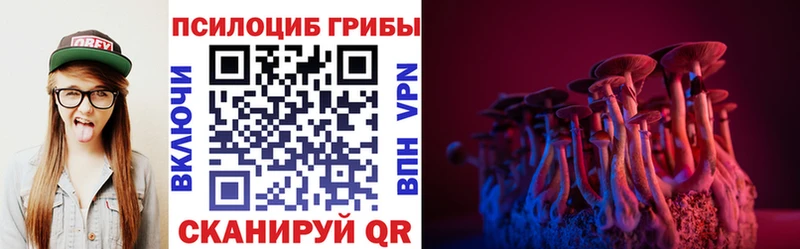 Псилоцибиновые грибы Psilocybine cubensis  Каменск-Шахтинский 